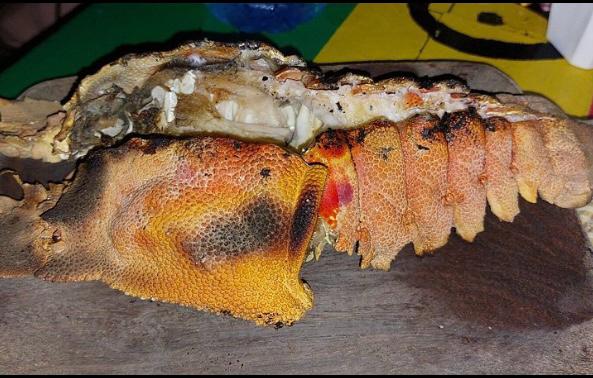 Langoustes